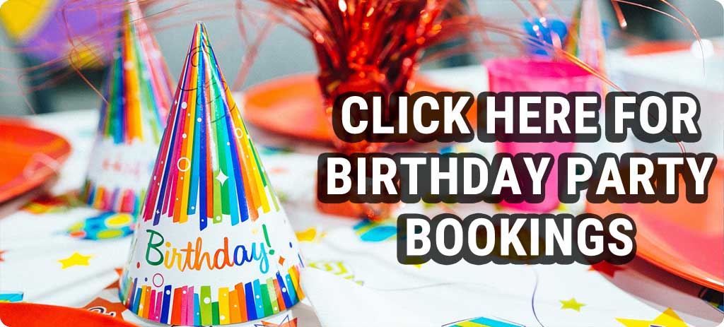 Birthday Party Bookings